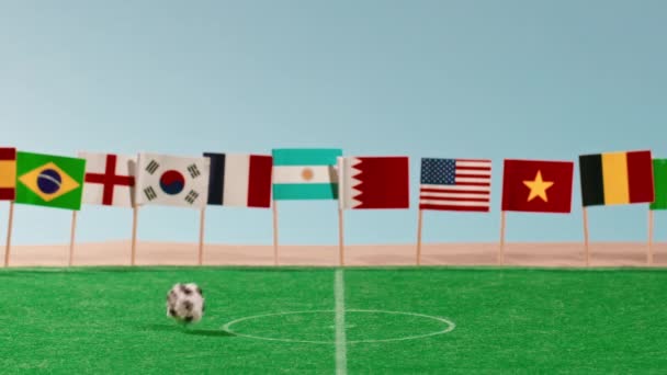 Вид Поле Мировой Футбольной Мини Арены — стоковое видео