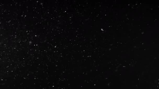 Sníh Částice Vznášející Vzduchu Černé Pozadí — Stock video