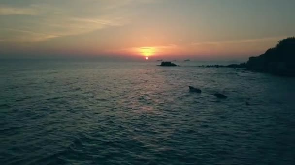 Martı Silueti Gün Batımında Okyanusun Yanından Geçer — Stok video