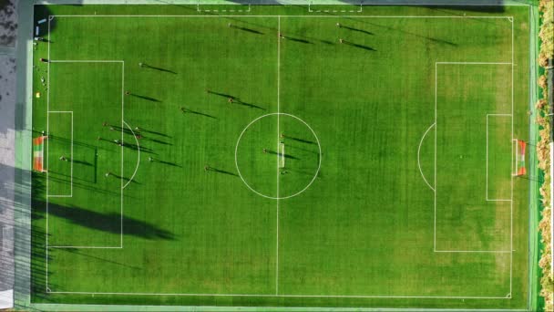 Soccer Field Vertikale Luftaufnahme Während Des Spiels — Stockvideo