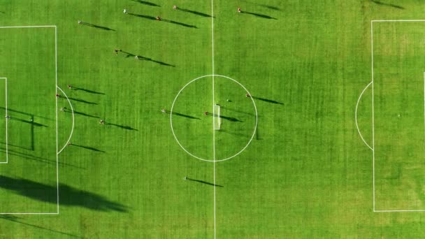 Soccer Field Tir Vertical Aérien Pendant Jeu — Video