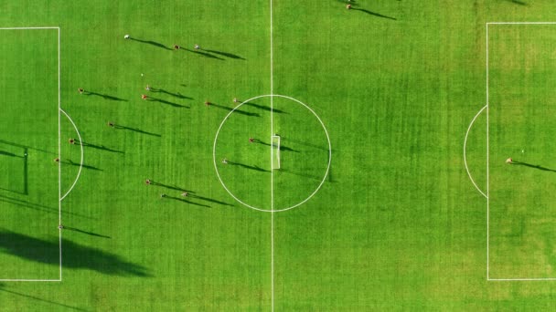 Soccer Field Vertikale Luftaufnahme Während Des Spiels — Stockvideo