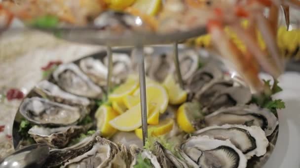 Vorspeise Mit Garnelen Und Austern Einem Restaurant — Stockvideo