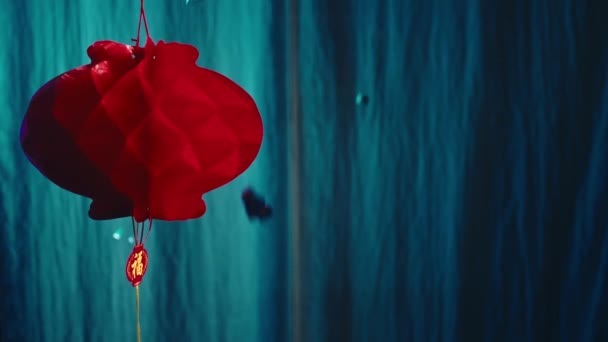 中国の旧正月の提灯の装飾の休日のお祝い — ストック動画