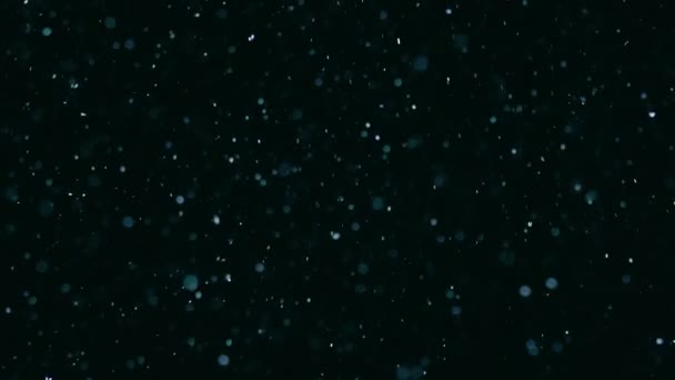 Σωματίδια Σκόνης Που Επιπλέουν Μαύρο Φόντο — Αρχείο Βίντεο