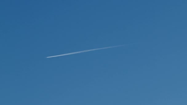 Airplane Travel Blue Sky Trails — Videoclip de stoc