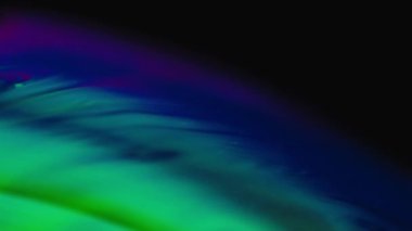 Abstract random paint oil color on the surface of a soap bubble macro view background