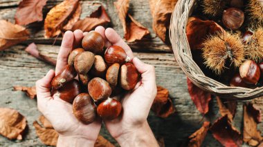 Chestnuts on wooden table in the mountains with a basket overhead shot