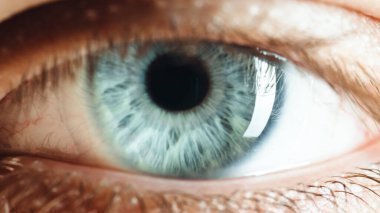 Beautiful blue eye of a boy macro shoot.