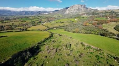 On the green hill in Calabria region for Spring season.