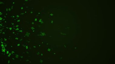 Clover falling down background for st patrick day holiday celebration.