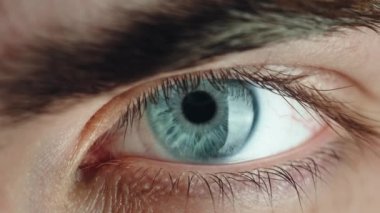 Beautiful blue eye of a boy macro shoot.