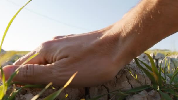 Рука Тестує Посуху Ґрунту — стокове відео
