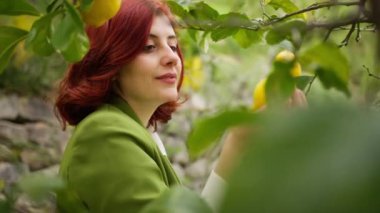 Kırmızı saçlı ve yeşil ceketli mutlu Calabrialı kız kırsaldaki ağaçtan limon meyvesi topluyor..