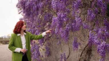 Genç kız Wisteria çiçeklerinin arasında yürüyor. 