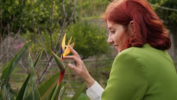Mujer Joven Huele Aroma Las Flores — Vídeos de Stock
