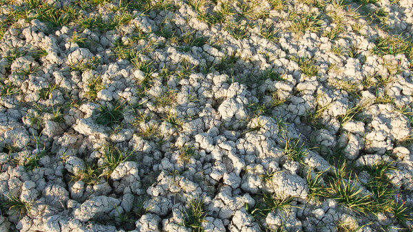 Land without vegetation and arid.