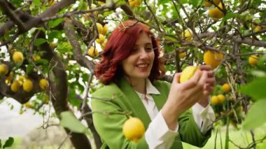 Kırmızı saçlı ve yeşil ceketli mutlu Calabrialı kız kırsaldaki ağaçtan limon meyvesi topluyor..