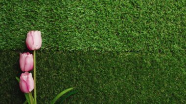 Annelerin bayram kutlaması için düz yeşil çayırda