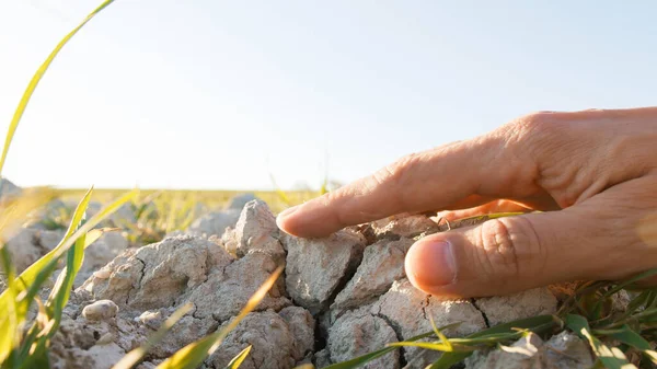 Tangan Menyentuh Gumpalan Tanah Kering — Stok Foto
