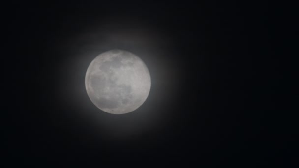 Luna Llena Cielo Nocturno — Vídeos de Stock