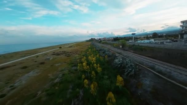 Поїзд Проходить Уздовж Берегової Лінії — стокове відео