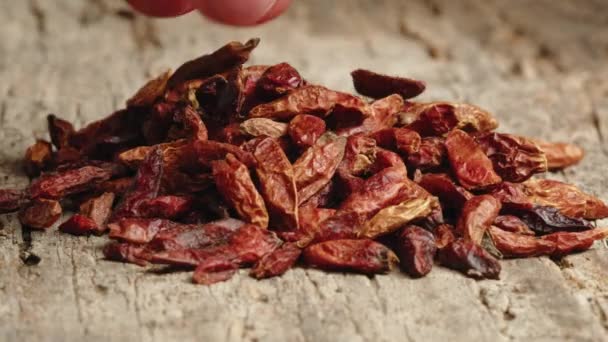 Tonka Çekirdekleri Besin Aroması Olarak Kullanılır — Stok video
