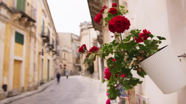 Rue Typique Ville Sicilienne Aux Fleurs — Video