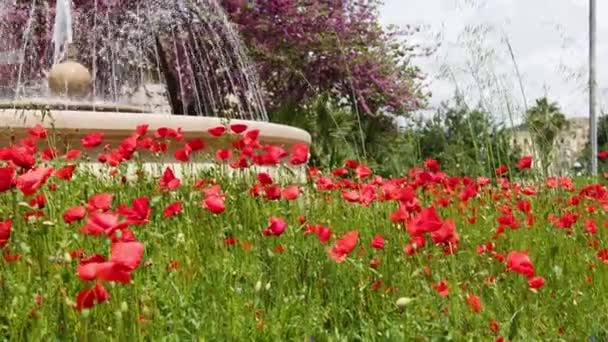 Kleiner Brunnen Park Von Ragusa Der Region Sizilien — Stockvideo