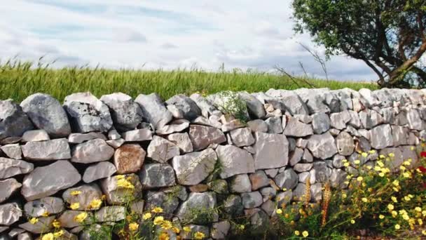 Kamienna Ściana Gipsowa Drodze Wiejskiej — Wideo stockowe