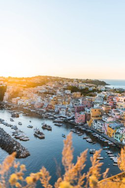 Napoli yakınlarındaki Campania 'daki Flegree takımadasının Procida adası.