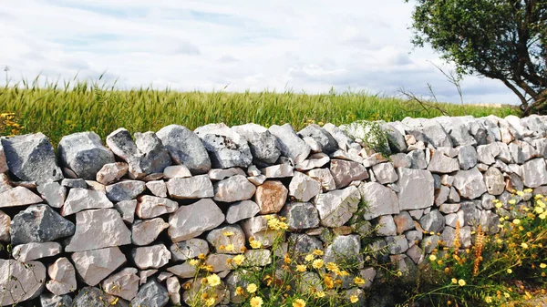 Stone drywall in a country road.