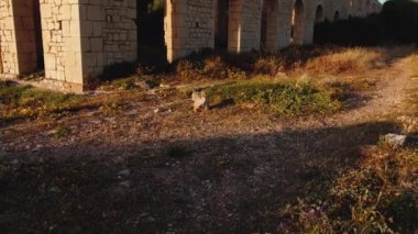 Tuğla üreten bir fırının kalıntıları..