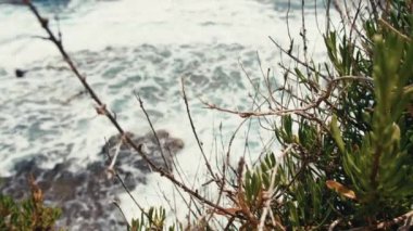 Denizin sessiz hareketi.