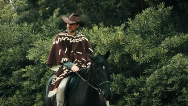 Çiftlikteki Ata Kovboy Elbiseli Bir Adam Biner — Stok video