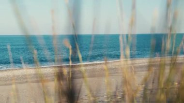 Okyanus kıyısındaki sahilde bıçaklar..