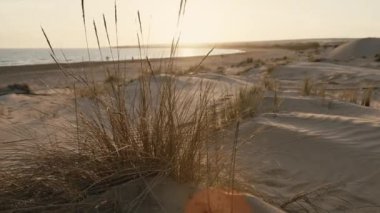 Gün batımında, Sicilya sahilindeki kum tepeleri.