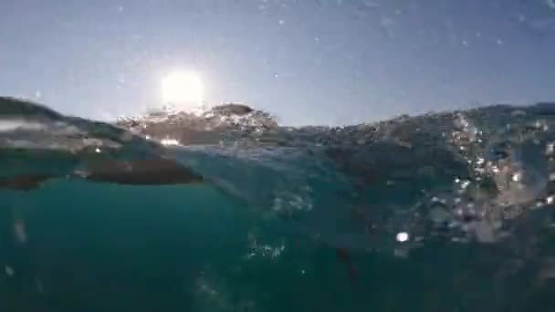 Uimahattuinen Mies Meressä — kuvapankkivideo