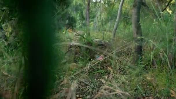 Bandes Militaires Sur Sol Forêt Entre Les Plantes — Video