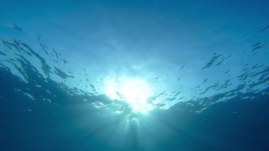 Sualtı manzarası yaz aylarında sakin sularda parlıyor..