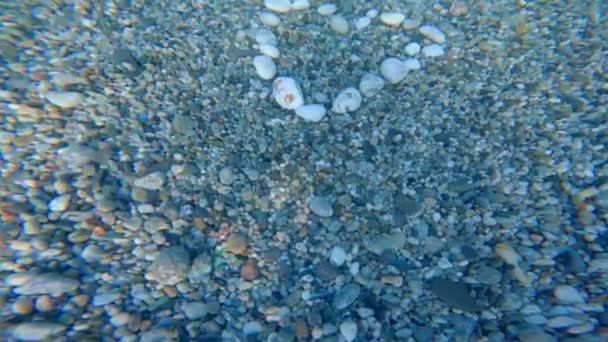 Heart Shape Underwater Ocean Summer — Stock Video