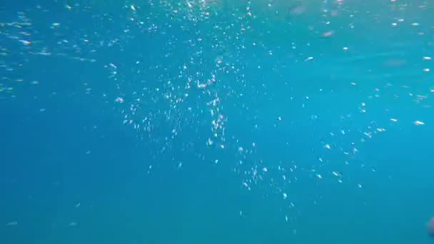 Pov Eines Mannes Der Offenen Ozeanwasser Schwimmt — Stockvideo