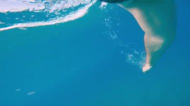 Açık denizde yüzen bir adamın görüntüsü.