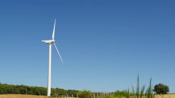 Gebruik Van Windturbines Voor Het Verhogen Van Vormen Van Hernieuwbare — Stockvideo