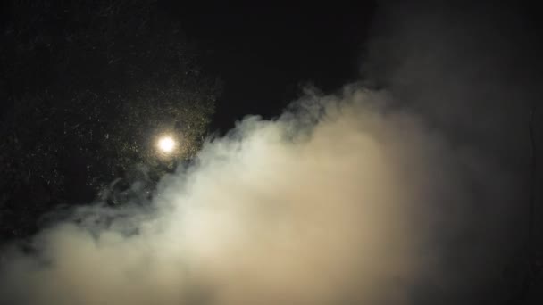 Fumée Dans Forêt Sombre Horreur Pour Halloween — Video