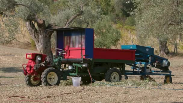 Calabria에서 올리브 수확을위한 트랙터가있는 디폴리 에이터 — 비디오