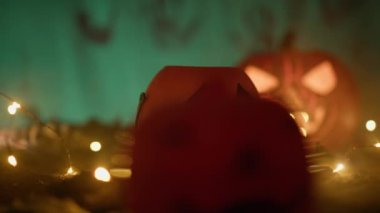 Korkunç gecede gülümseyen balkabakları.. 