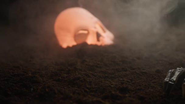 Esqueleto Nevoeiro Tentando Voltar Vida Cemitério — Vídeo de Stock