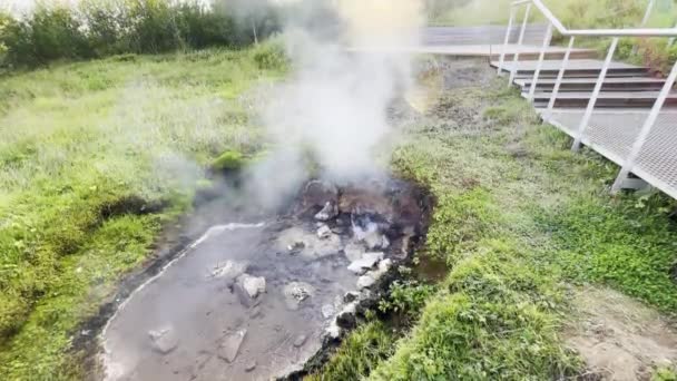 Steamy Water Boiling Volcanic Grassy Site Iceland — Stock Video
