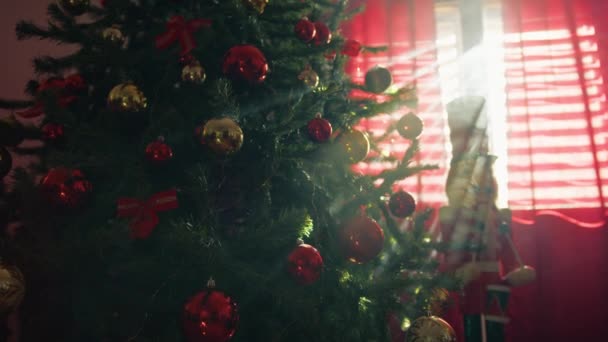 Rayo Del Sol Por Mañana Golpeó Árbol Navidad Con Cascanueces — Vídeo de stock